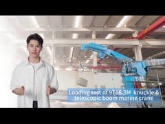 9T16.3M Grue de bord pour une manutention efficace des marchandises